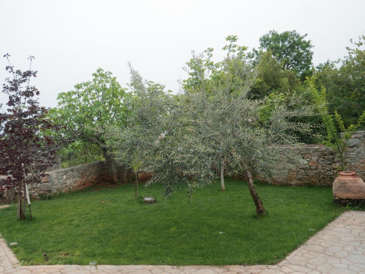 Vintage Stone-Built Country Cottage In Richea Kouloureika エクステリア 写真